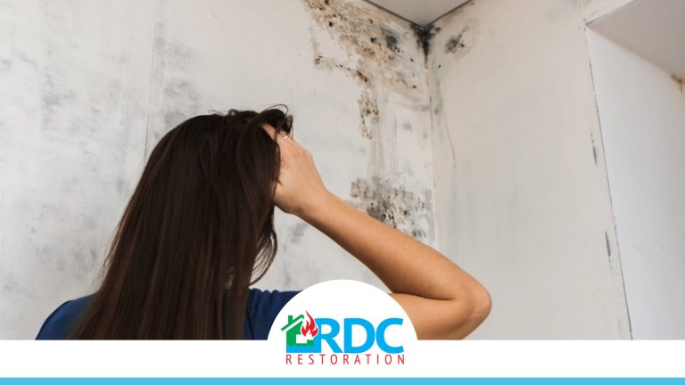 RDC Website Photo Template 10