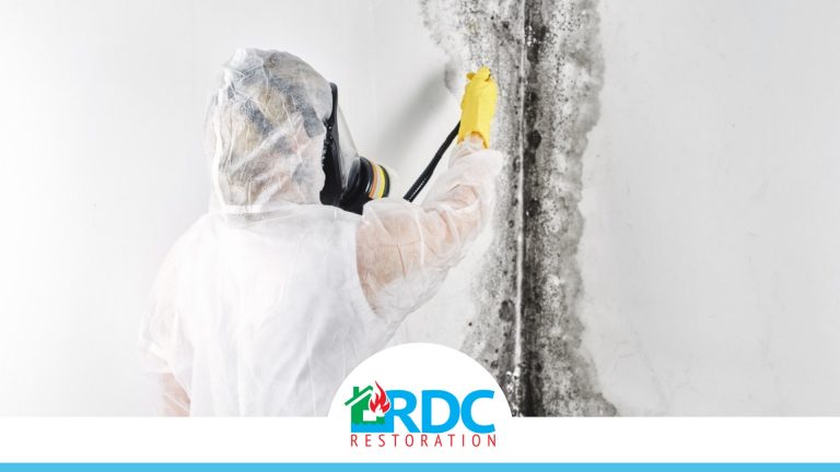RDC Website Photo Template 26