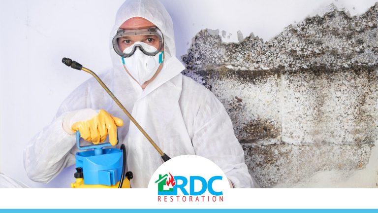 RDC Website Photo Template 35