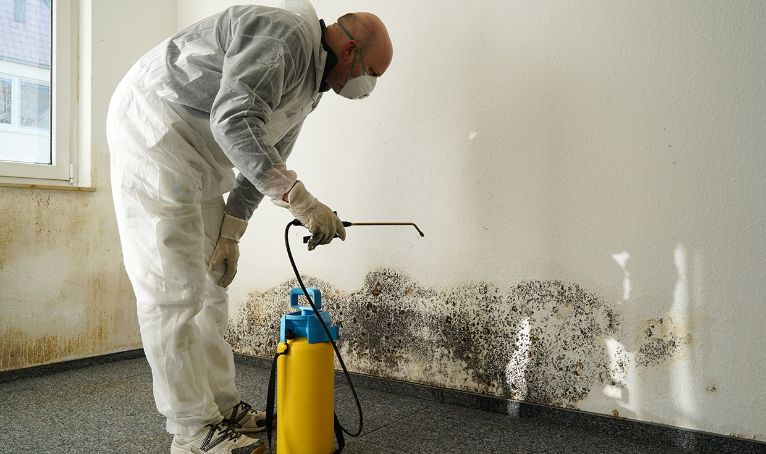 Mold Cleanup in Monmouth Beach, NJ (6565)