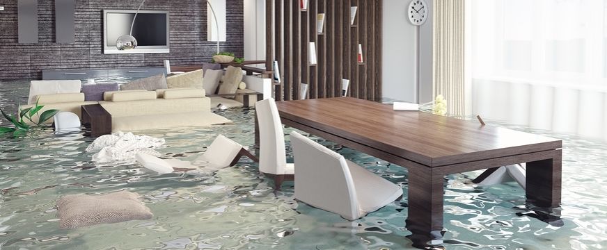 Basement Flood Cleanup & Repairs in Roosevelt, NJ (5045)